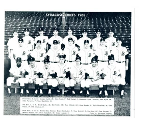 1965 SYRACUSE CHIEFS 8x10 TEAM PHOTO NEW YORK YANKEES BASEBALL USA - Picture 1 of 1