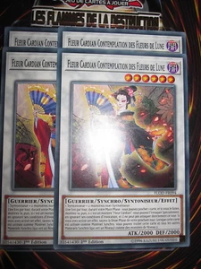 YU-GI-OH! COM (X4) FLEUR CARDIAN CONTEMPLATION DES FLEURS DE LUNE FLOD-FR094 ED1 - Bild 1 von 1