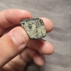 Ultra seltener dicker Pliosaurier Zahn Fossil aus dem britischen Meer Tyrannosaurus Rex T-Rex  - Bild 1 von 5