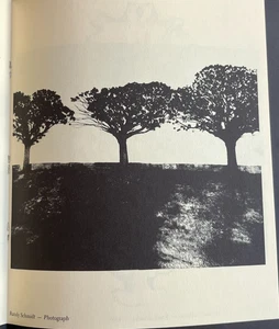 Thunderbird University of New Mexico Student Publication 1966 Art Poetry Drama - Foto 1 di 13