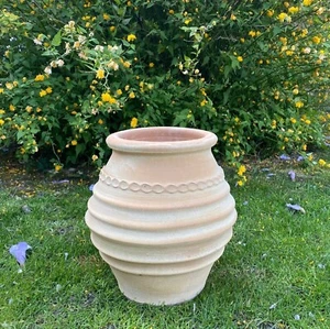 handgefertigte Terracotta Amphore aus Kreta, frostfeste Amphore Ficus 35 - Bild 1 von 10