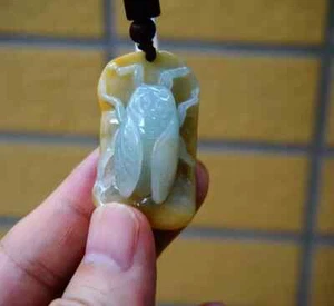 Certified Natural Grade A Jadeite Jade Fei cui Bamboo Cicada Pendant 1954 - Picture 1 of 11