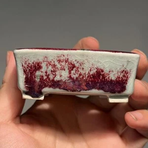 Japanese Bonsai pot AKINAO Rectangular shape W7.7cm H3.2cm  Light blue Glazed - Picture 1 of 24