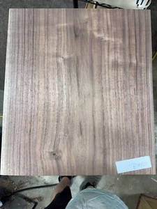 GUITAR BODY BLANK BLACK WALNUT 1 PIECE LUTHIER 21X18X1.875 #B0057 - Picture 1 of 1