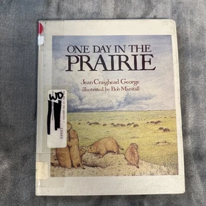 One Day in the Prairie Hardcover Jean Craighead George - Bild 1 von 9