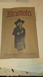 Einstein~For Beginners by Joseph Schwartz/Michael McGuinness~Softcover~1979 - Foto 1 di 5