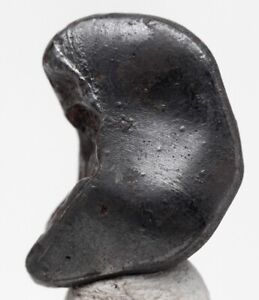 ORIENTED SIKHOTE ALIN Iron Meteorite Specimen FLOWLINES ROLLOVER LIPS RUSSIA