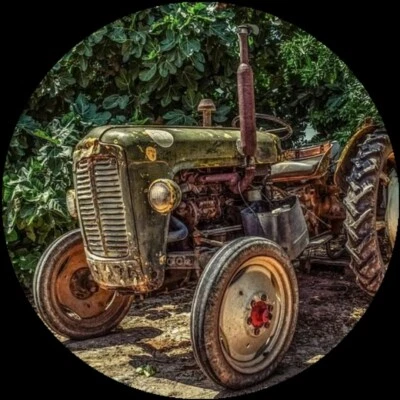 Tortenaufleger essbar Fondant rund 20cm durchmesser Geburtstag Traktor  - Bild 1 von 2