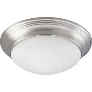 Progress Lighting P3689 2 Light Flush Mount Ceiling Fixture - Nickel - Picture 1 of 2