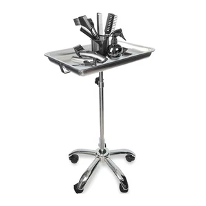 New Salon Tray, Metal Feet Salon Tray Cart, Salon Rolling Tray with Adjustable - Picture 1 of 12