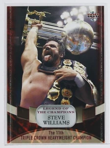 STEVE WILLIAMS - 2011 BBM Pro-Wrestling Trading Card - Bild 1 von 3