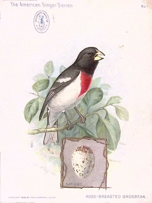 Imagen Grosbeak de pecho rosa serie de máquinas de coser The American Singer Foto 1 de 3