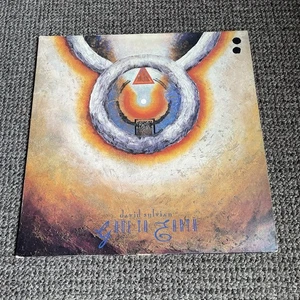 David Sylvian – Gone To Earth Vinyl Record 2xLP FIRST UK Pressing 1986 - Picture 1 of 24