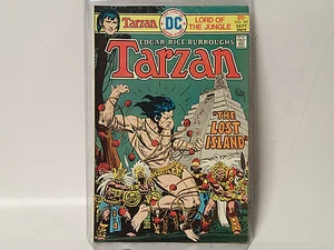TARZAN Lord Jungle #241 DC Comics 1975 FN Edgar Rice Burroughs Joe Kubart Art - Picture 1 of 2