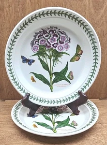 Lot of 2 Portmeirion Botanic Garden 8.5" Salad Plates Dianthus Barbatus Old Mark - Picture 1 of 4