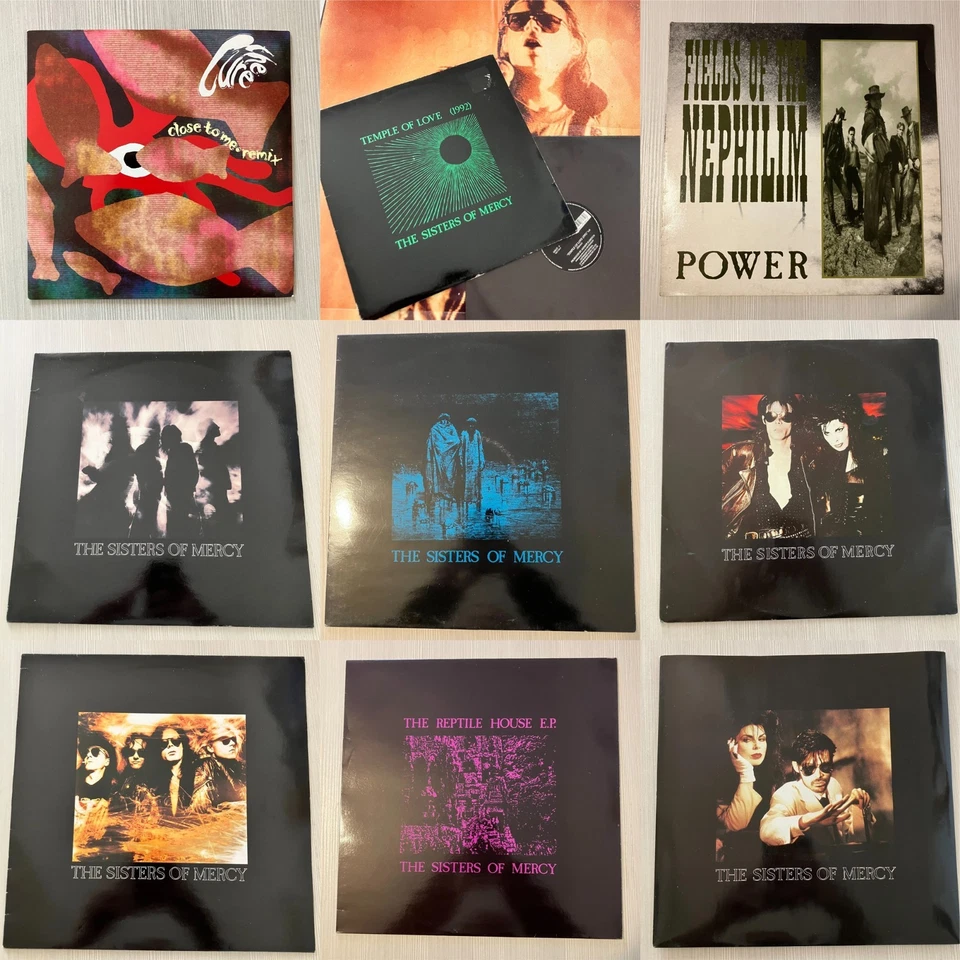 mauririg91 - Image 1 of 1