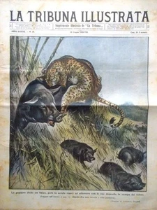 La Tribuna Illustrata 15 Giugno 1930 Rizzo New York Pellegrinaggio a Lourdes Re - Imagen 1 de 1