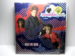 Thompson Twins / Hold Me Now / 12" Maxi Single Vinyl Record TWINS122 VG+/EX - Foto 1 di 3