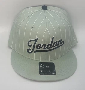 Nike Air Jordan Flight MVP Pro Cap Emerald Snapback Hat Sz M/L FV5299 005 Mint - Picture 1 of 10