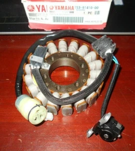 MOTOR MAGNETO YAMAHA RAPTOR 700, GENERADOR DE ESTATOR 1S3-81410-00 - Imagen 1 de 2