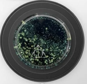 Poignée téléphone Popsockets magnétique Harry Potter pour MagSafe Neuf - Photo 1 sur 3