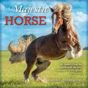 Magestic Horse 2025 Wall Calendar 12" x 24" open New - Picture 1 of 2