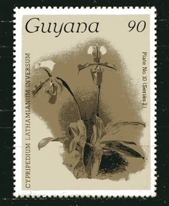 GUYANA 1986-1989 FLORES: ORQUÍDEAS, Sc 1184. MNH - Imagen 1 de 1