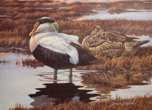 Brenda Carter - Impresión de estampillas de pato de Canadá 1992 - Litografía - S/N - Firmado - COMO NUEVO - Imagen 1 de 1