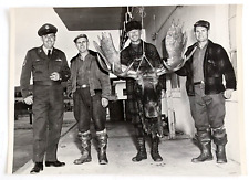 1950s Ernest Harmon AFB Newfoundland Hunters Moose Head Air Force Vintage Photo