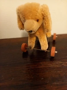 Kleiner Mohair Hund auf Räder mit Drehkopf,  Steiff? - Bild 1 von 5