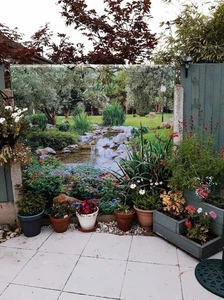 NEW Cottage Garden Pond Waterproof Shower Curtain-3D Outdoor Garden Fence Scenic - Picture 1 of 9