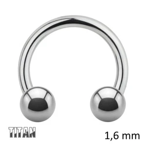 HUFEISEN PIERCING TITAN Silber 12mm Durchmesser 4mm Kugeln 1,6mm Stärke Neu - Bild 1 von 1