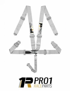 EXPRESS Post | SFi 16.1 5pt Harness Belt | SILVER | Speedway CAMS Drag Race ANDR - Picture 1 of 12