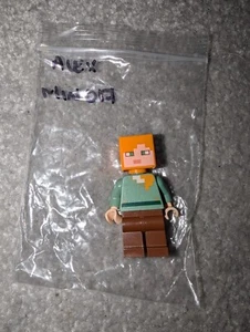 LEGO Minecraft Alex Minifigura MIN017 21140 21121 21144 21169 21179 21152 - Imagen 1 de 1
