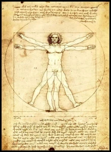 Leonardo Da Vinci Hombre de Vitruvio Póster Lona Impresión Nevera Imán 6x8 Grande - Imagen 1 de 2