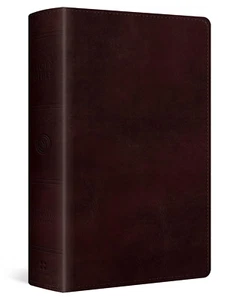 ESV Large Print Personal Size Bible Book Type:Imitation Leather - Picture 1 of 12