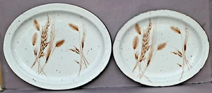 Midwinter Stonehenge WILD OATS 2 Fleisch Servierplatte 34,5 x 27,5 & 30 x 24 TOP - Picture 1 of 9