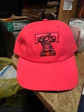 TOLEDO MUD HENS ----PINK HAT