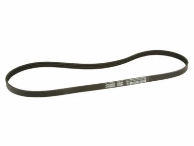 Correa multi costilla dirección asistida Dayco 62552NW 2008 2009 para Lincoln MKX 2007-2010 Foto 1 de 2