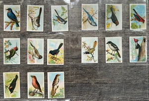 Lot of (15) Useful Birds of America Seventh Series Arm & Hammer Cow Brand Set - Picture 1 of 2