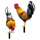 2pcs Rooster Yard Stakes Chicken Garden Sign Acrylic Animal Art Decoration-FJ