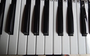 ROLAND LOT 61 touches D50 JX8P JUNO 1 2 JUNO 60 6 JUNO 106 JUPITER 8 VR09 Etc - Zdjęcie 1 z 7