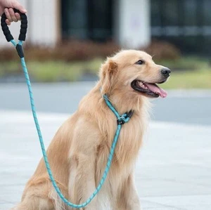 Dog Pet Leash with Comfortable Padded Handle Highly Reflective Threads for 6 FT - Picture 1 of 28