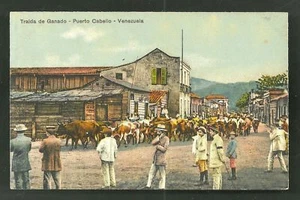 Puerto Cabello Traida de Ganado Vacas Jorge Hedderich Venezuela ca 1910 - Imagen 1 de 1