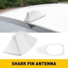 Universal Shark Fin Roof Antenna Aerial FM/AM Radio Signal White for Car AUTO