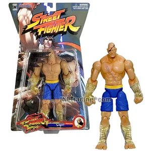 Year 2005 Capcom Street Fighter 7 Inch Tall Figure SAGAT Player 1 in Blue Trunk - Picture 1 of 1