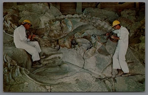 AK Camarasaurus Dinosaurier National Monument Utah UT 1975 - Bild 1 von 2