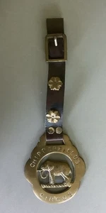 ORIGINAL c1950’s ~ CHIPPERFIELDS CIRCUS ELEPHANT / JUMBO HORSE BRASS on LEATHER - Picture 1 of 9