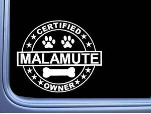 Certified Malamute L274 Dog Sticker 6" decal