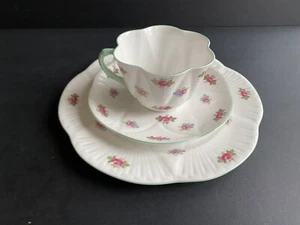 Shelley Tea cup Saucer Salad Plate Trio Rosebud Fine Bone China VTG 13426 - Picture 1 of 12